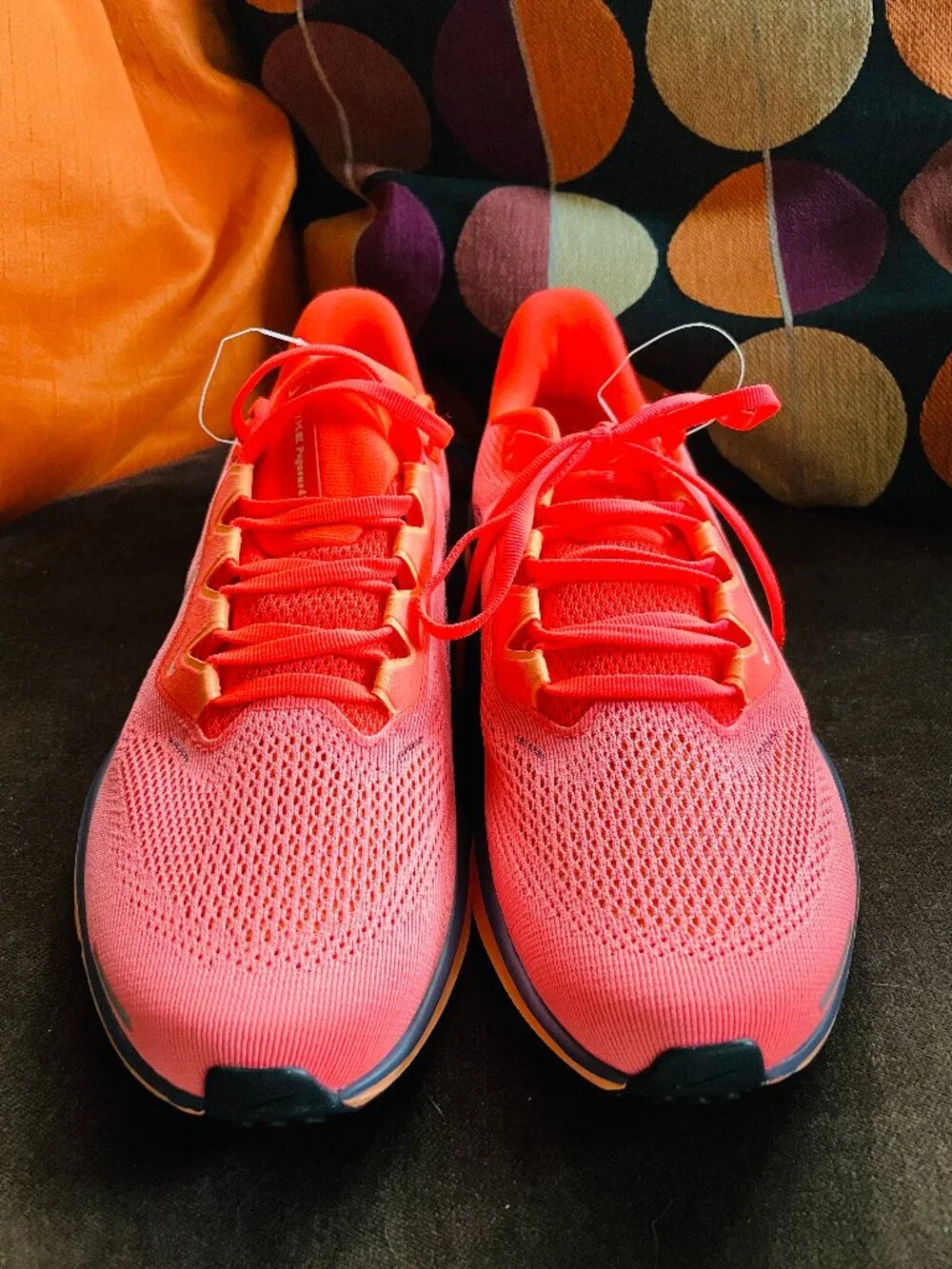 NEW Woman's Sneakers & Athletic Shoes Nike Pegasus 41 Special Edition Unreleased